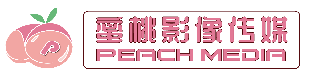 蜜桃传媒官方影视库